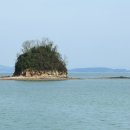 탄도민박 이미지