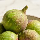 더마펌 | ​고급스러운 무화과향 샤워후에도 촉촉한 탄력 더마펌 인텐시브 PDRN 바디워시 사용 후기