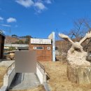 대굴령민들레동산 이미지