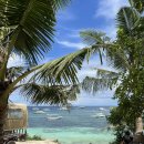 [필리핀여행] 보홀 이트래블(eTravel) 웹 QR등록방법 보홀 입국심사 및 호텔 픽업 예약방법, 팡라오공항...