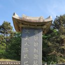 선단초교 | *포천장례문화 전계 대원군묘사초*