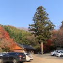 장군봉 등산로 화장실 이미지