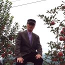 배동문농장 이미지