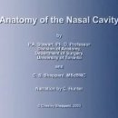Anatomy of the Nasal Cavity 이미지
