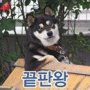 탑마을주공8단지 이미지
