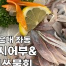 도시어부&미쓰물회 이미지