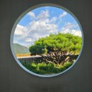 주천면-12(소탄마을 입구) | 8월 영월여행 젊은달와이파크, 한반도지형, 영월서부시장 등