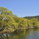 하얀구름 이미지