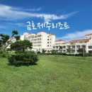 아기랑 제주 숙소 | 금호리조트 제주 비자림동 스위트양실 후기 | 큰엉해안경승지제목없음