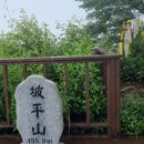 파주경찰서 앞 삼거리 이미지