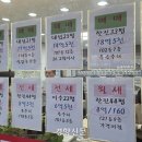 부동산풍경공인중개사사무소 경향신문