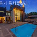 매드몽키 네이버블로그