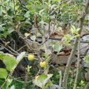 마산농장 이미지