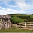 태용목장 이미지