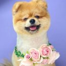 산호동457 이미지