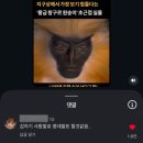 복싱 바이러스 체육관 | 절대 바이러스 아닙니다. 믿어주세요... 전 돌고래입니다