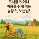 (기획투어)힐링순천 | 2025년 농촌에서 즐기는 힐링 휴가, 농캉스 예약 가이드 | 농촌 바캉스 | 노는법 누리집 | 농촌여행