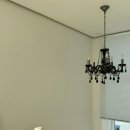 폴인럽제주 이미지