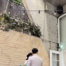 에드뷰티