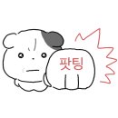 도테라아로마라운지