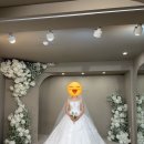 초이스디자인 | [드레스 초이스] 광주 꼼나나메이크업 &amp; 시크릿 웨딩 드레스 피팅/ 단독 드초 후기🫧👰🏻‍♀️