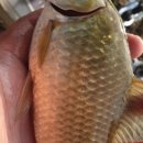 보은 목욕탕 이미지