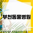 큰사랑동물병원 이미지