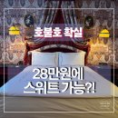 명동호텔 | [서울] 레스케이프 호텔 후기｜명동 위치, 럭셔리 컬렉션 28만원 스위트 업그레이드 실화?