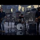 도그스타 이미지