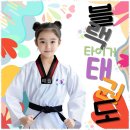 타이거 태권도장 | 진주태권도장 아이의 꿈과 자신감을 키우는 블랙타이거태권도장 후기