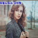 신미향 이미지