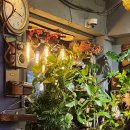 숯불바베큐치킨백록담 | 수유역 숯불치킨 맛집 찾다 들른 두두숯불바베큐치킨 방문 후기 🐔