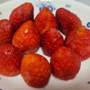 서하체육공원 이미지