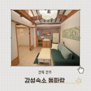 스테이 서하 이미지