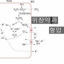 < 6월 12 일 > 위장약과 혈압 이미지