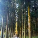 섬진강 트레킹코스 | 부산에서 목포까지! 2박 3일 목포-보성 여행 3일차, 실패 없는 보성 필수 코스 📸