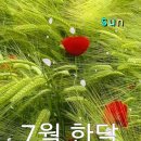 헤드라인 아침뉴스(20년7월31일) 이미지