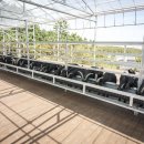 구술농장 이미지