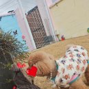 큰별유치원 이미지