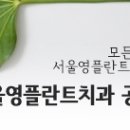서울영플란트치과의원 이미지