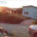 윤성 골프연습장 이미지