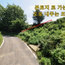 양도초교 이미지