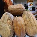 삼성건강원 이미지