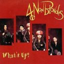 4 Non Blondes - What's Up 이미지