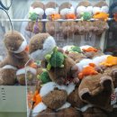 인형뽑기 이미지