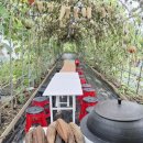 광양초원어린이집 이미지