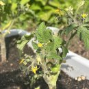 스타게임파크 이미지