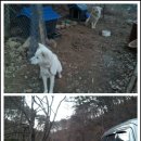 샘터농장 이미지