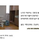 노라조 야옹아 이미지