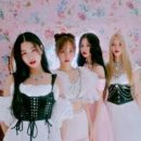 피프티(fifty) 티스토리